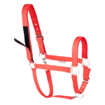Waldhausen Safety kötőfék