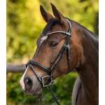 Waldhausen X-Line Shine homlokszíj