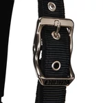 Equestro White Trim kötőfék vezetőszárral