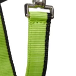 Equestro White Trim kötőfék vezetőszárral