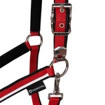 Equestro White Trim kötőfék vezetőszárral