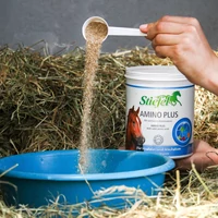 Táplálékkiegészítő