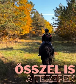 Őszi lovas túrák és tereplovaglás