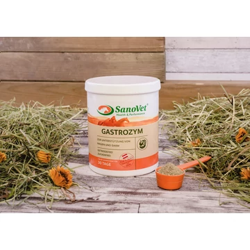 Sanovet Gastrozym