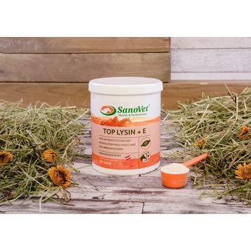 Sanovet Top Lysin + E