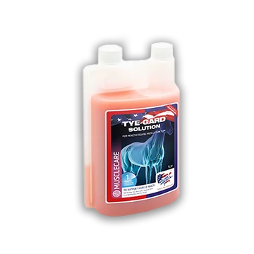 Equine America Tye Gard