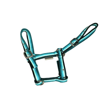 Showmaster Darling csikó kötőfék