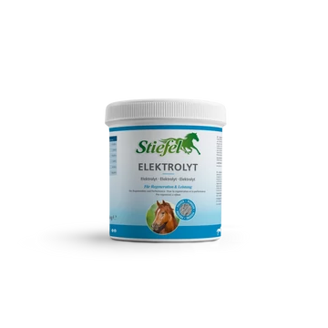 Stiefel Elektrolyt 1kg