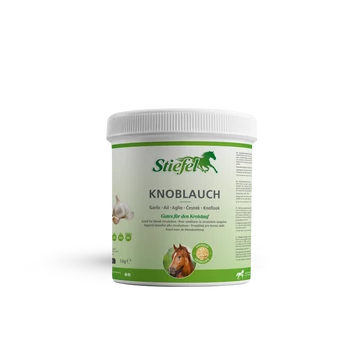 Stiefel Fokhagymapor