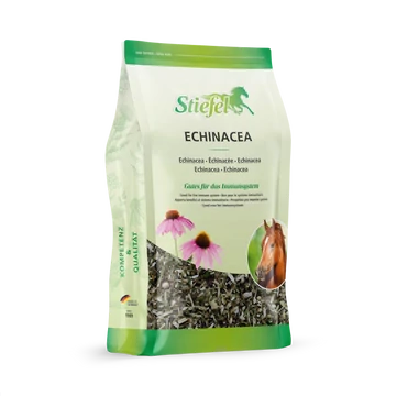 Stiefel Echinacea (vágott) 500g