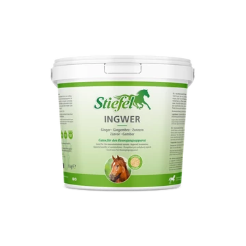 Stiefel Gyömbér (őrölt) 1kg