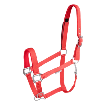 Waldhausen Safety kötőfék