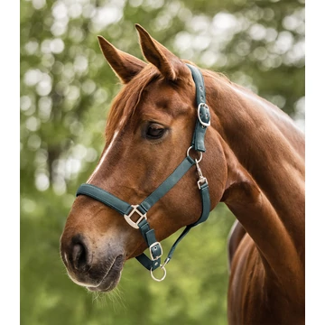 pasztell zöld (piniengrün)