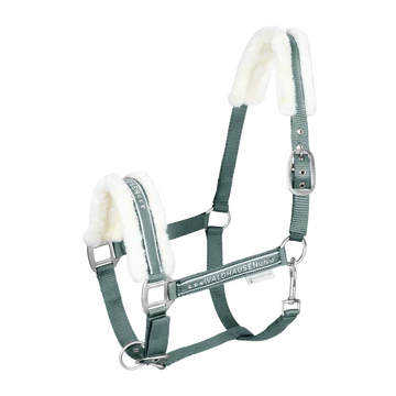 pasztell zöld (piniengrün)