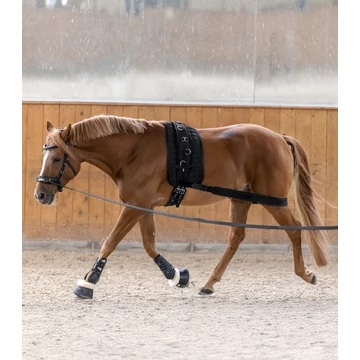 Waldhausen rugalmas futószárazó heveder