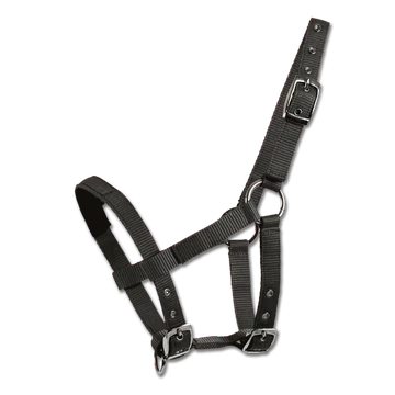 Waldhausen mini-shetty kötőfék