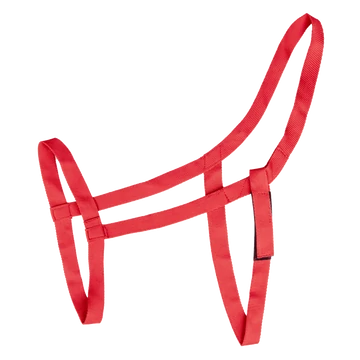 Waldhausen kötőfék