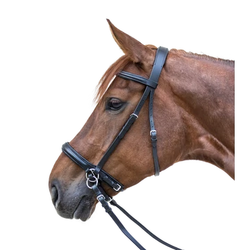 STAR zabla nélküli kantár