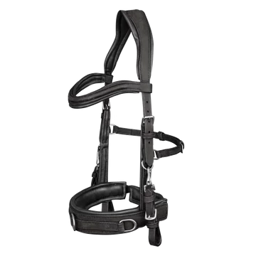 Waldhausen anatómiai bőr kapicán