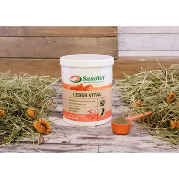 Sanovet Leber Vital