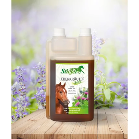 Gyógynövény Máj és vese védelme