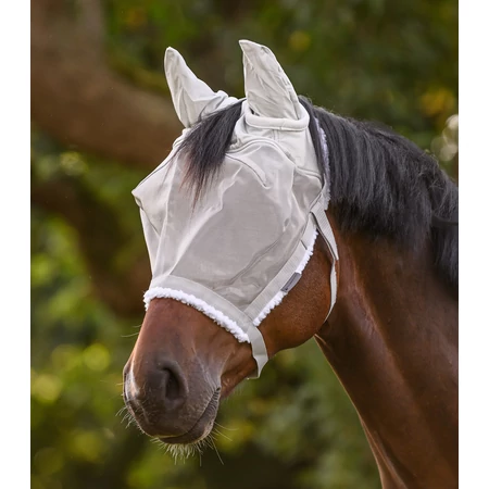 Légy elleni védelem