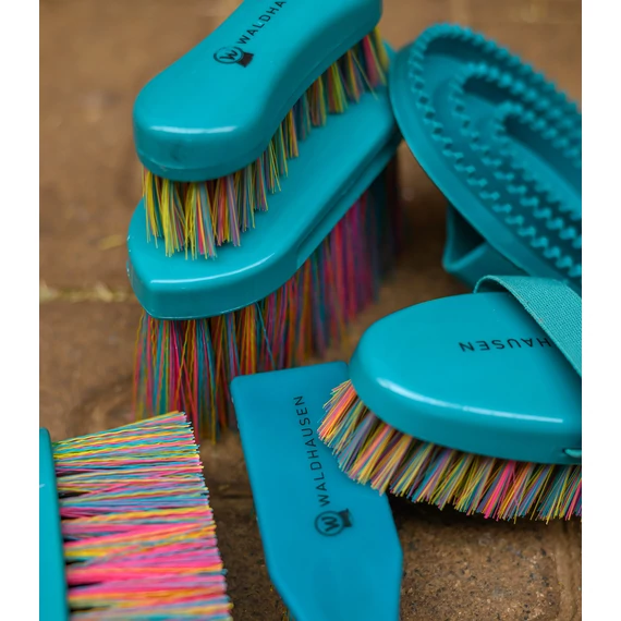 Waldhausen Rainbow gyökérkefe