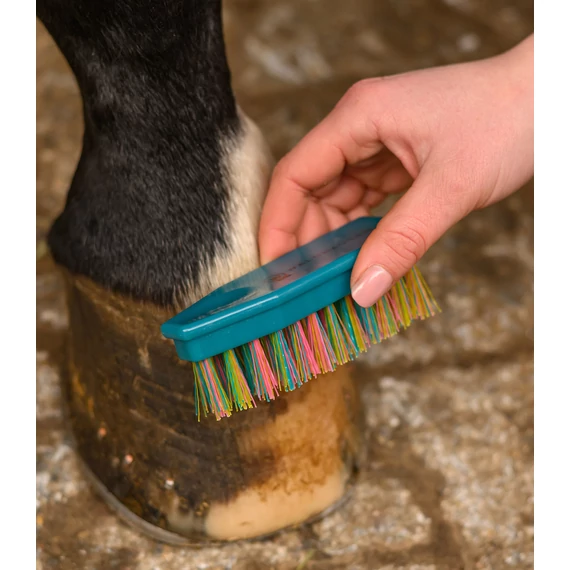 Waldhausen Rainbow patakefe