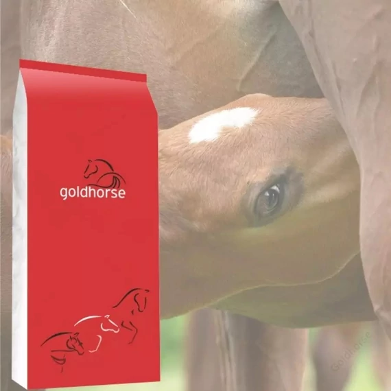 Goldhorse Born&Grow + Hummovet 20 kg