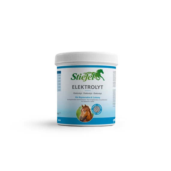 Stiefel Elektrolyt 1kg