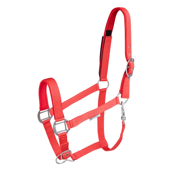 Waldhausen Safety kötőfék