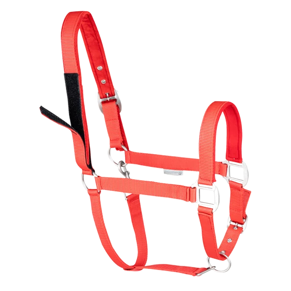 Waldhausen Safety kötőfék