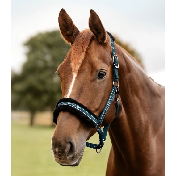 Waldhausen Elegant szőrmés kötőfék