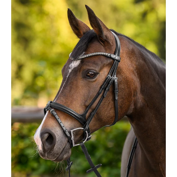 Waldhausen X-Line Shine homlokszíj