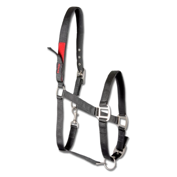 Waldhausen Safety kötőfék