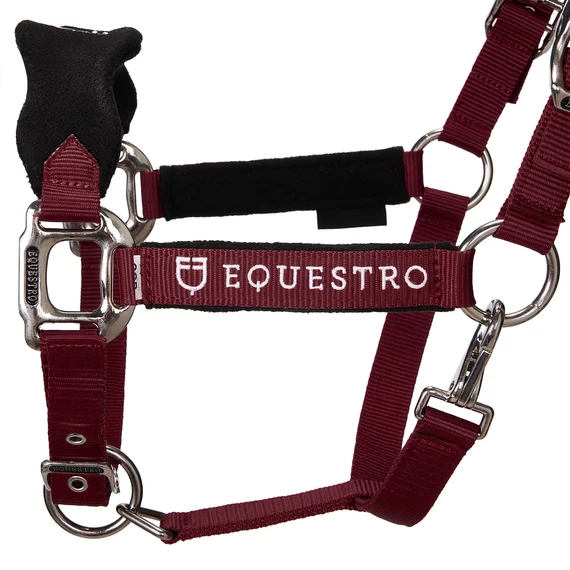 Equestro bélelt kötőfék vezetőszárral